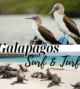 Galapagos